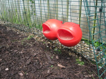 Eglu Go Red Grub Feeder in run