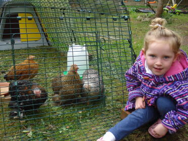 My Daughter with our 4 pekins!