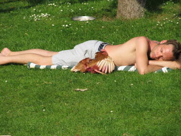Sun bathing with your exbattery chicken!