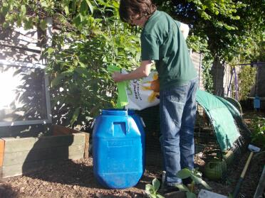 Organic chicken feed
