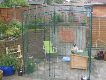 Outdoor Chicken Run in garden