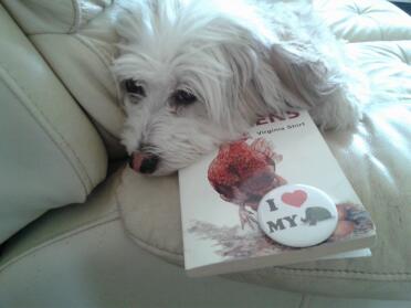 Dog looking at front of chicken book