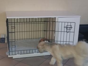 Checking out the new crate!