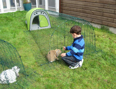 Child with rabbit in Eglu hutch and run