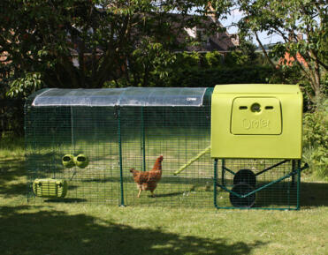 Green Eglu Cube Chicken Coop with run and clear cover with a chicken in the run