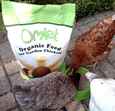 Omlet Organic Feed