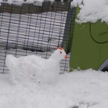 Still no chickens but.. the Snow in early feb gave me the opportunity to make a temporary chicken for the Eglu.