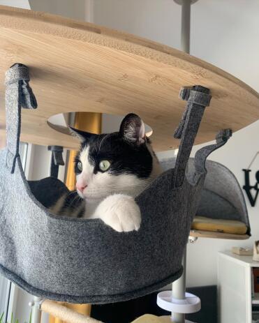 The cosiest spot