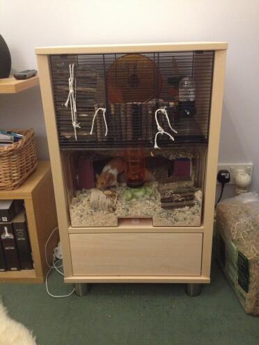 Omlet cage with anti-bar nibbling sticks! Cage blends in lovely with my room. 