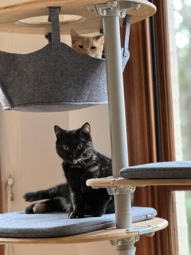 Tiggi-Marie and Meghan just chillin'