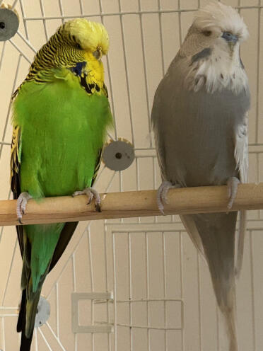 Camilla & Charles love their royal home