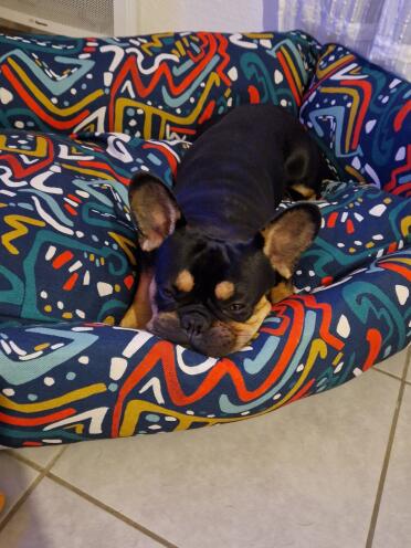 So comfortable!