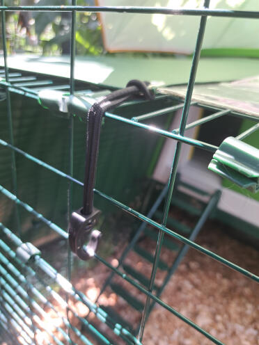 Bungee hook