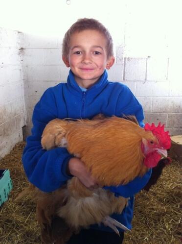 Orpingon Chicken being held by boy