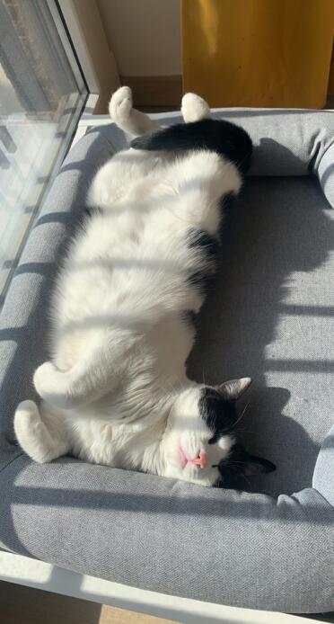 Snoozy time!