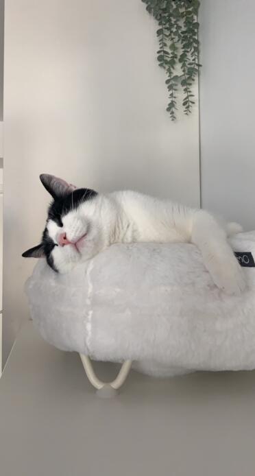 The perfect place to sleep!