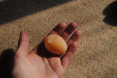 One of my hens' first eggs. 