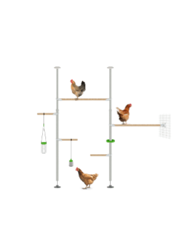 Poletree chicken tree perch system Hensemble setup