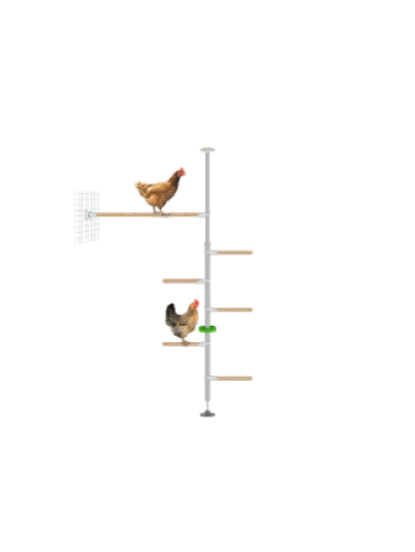 PoleTree chicken pole perch system for chicken run - The Hendurance Kit