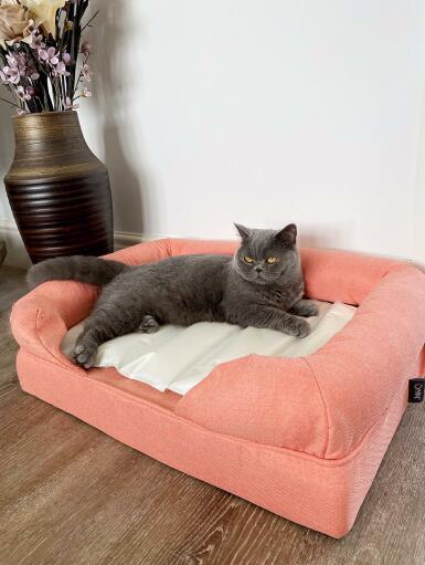 Cooling mat for cat deals