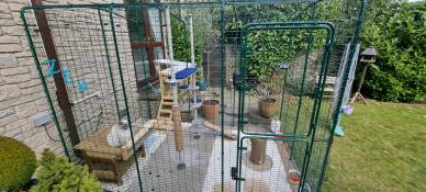 A cat in a run including an outdoor cat tree and various accessories
