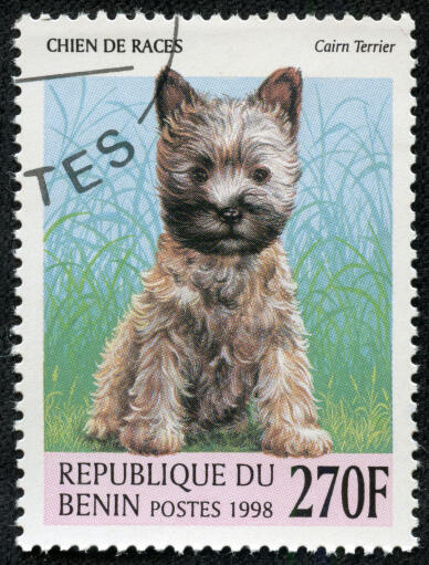 A Cairn Terrier on a West African stamp