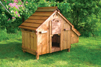 Lenham Chicken Coop - Made to Order