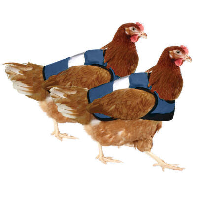 Blue High-Vis Chicken Jacket Twin Pack