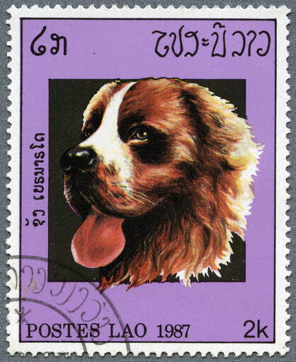 A Bernese Mountain Dog on a Southeast Asian stamp