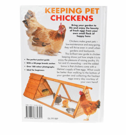 Keeping pet chickens - Paul Windham