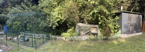 An outdoor rabbit enclosure attached to a playpen and hutch by the Zippi tunnel.