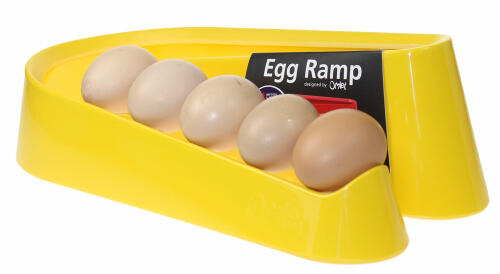 Yellow Egg Ramp