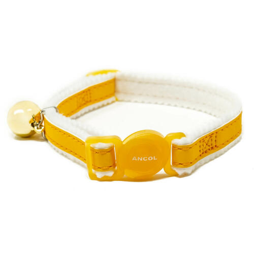 A beautiful yellow dog leed