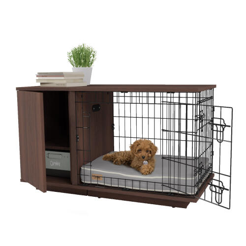 Crate Training Your Dog Crate training Dogs Guide Omlet UK
