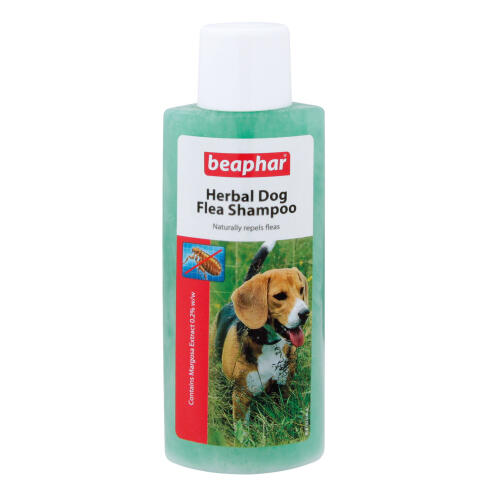 Beaphar Herbal Flea Shampoo for Dogs 250ml