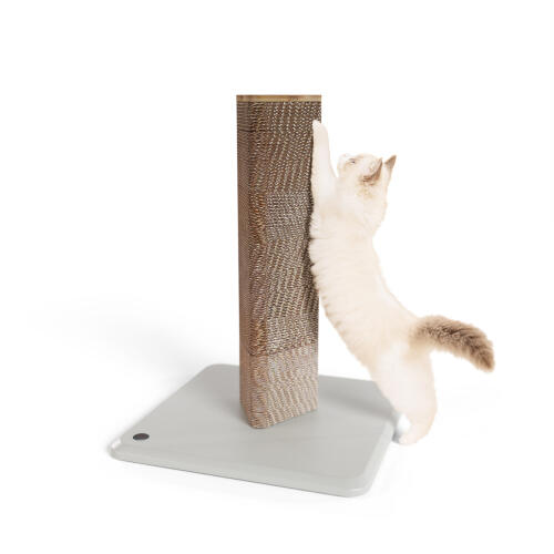 cat scratching post