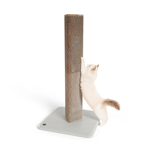 cat scratching post