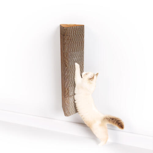 cat scratching post