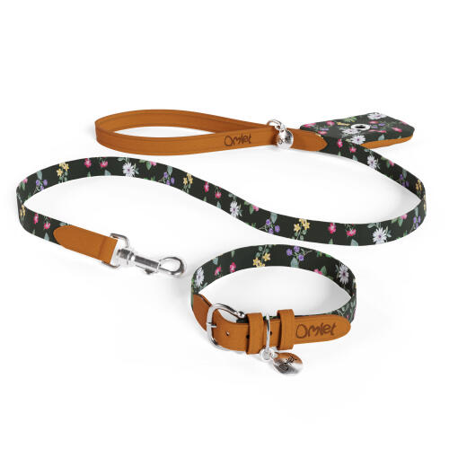 Designer dog accessories bundle by Omlet in Midnight Meadow print