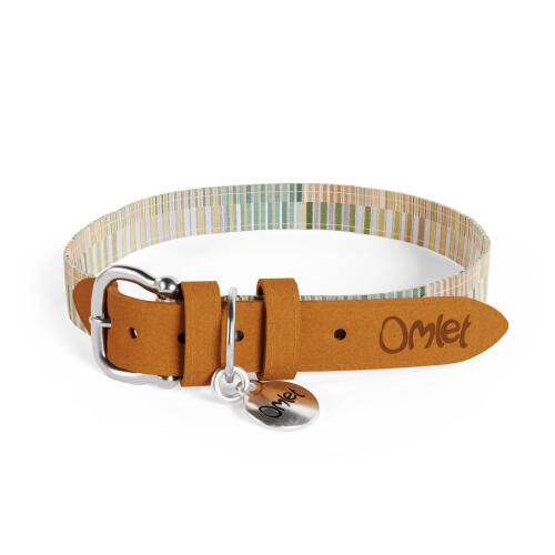 Designer Large Dog Collar