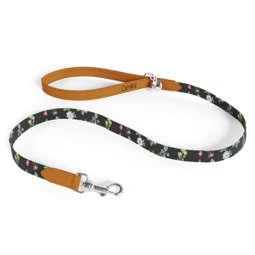 Designer dog lead by Omlet in Midnight Meadow print