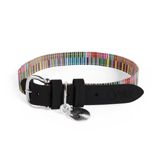 Designer Large Dog Collar