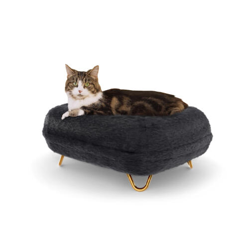 Cat Sitting on Maya Donut Cat Bed in Earl Grey with Gold Hairpin Feet