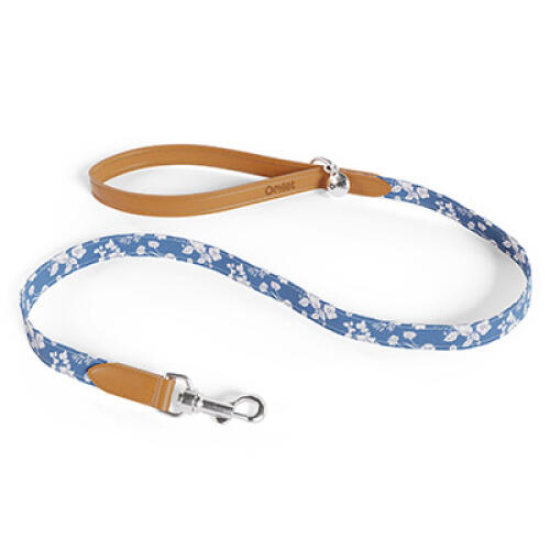 Dog Lead in blue floral Gardenia Porcelain print by Omlet.