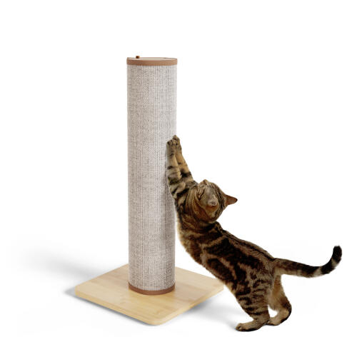 Colonel cat hot sale scratching post