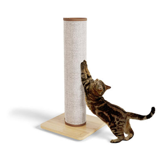 Switch sisal cat scratching post - cream