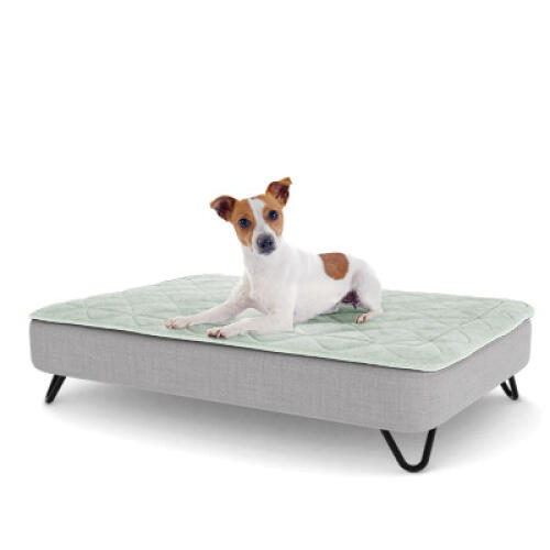 A puppy resting on the medium topology puppy bed with black metal hairpin feet