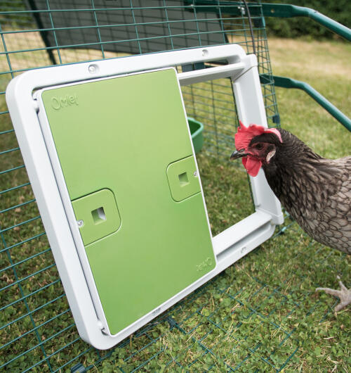 The green Autodoor attached to a mesh run.