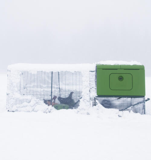 eglu cube chicken coop in the snow