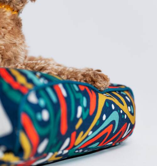 A dog resting on the cushion dog bed